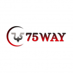 75way Technologies Pvt. Ltd.