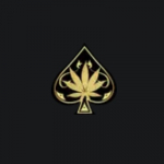 Ace Ultra Premium