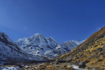 Amble Himalaya