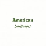 American Landscapes