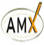 AMX Detectives