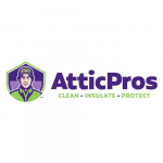 Attic Pros