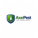Axe Pest