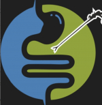 Best Surgical Gastroenterologist in Hyderabad | Dr Harish Goutham