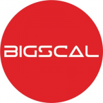 Bigscal Technologies Pvt. Ltd.