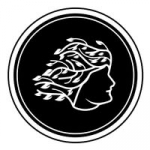 Billion Hairs Studio