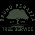 Brunoferazzatreeservice