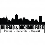 Buffalo Paving Pro 1