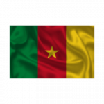 Cameroon eVisa for Denmark Citizens
