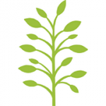 Canonbury Clinic of Osteopathy