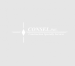 Consel Inc