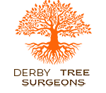 Derby Tree Surgeon
