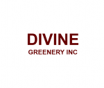 Divine Greenery Inc