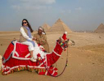 Egypt Christmas Tours