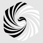 Elemental Acupuncture
