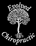 Evolved Chiropractic