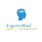 ExpertsMinds Inc