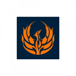 Fenix Insight