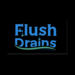 Flush Drains & Vassco Utility Maintenance