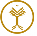 Haven Coin and Jewelry