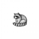 hwy2raccoon