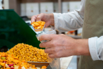ISO 9001 Certification Cost