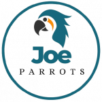 joeparrots
