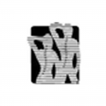 Largo Chiropractic Clinic