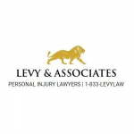 Levy & Associates