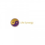 Life Synergy Retreat