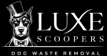 Luxe Scoopers