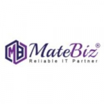Matebiz-Pvt-Ltd