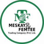 Meskay Femtee