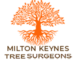 MiltonKeynes Tree Surgeon