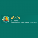 Mo's Birds