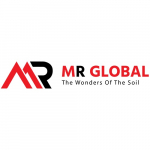 MR Global