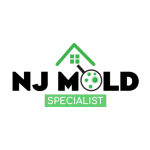 New Jersey Mold Specialist