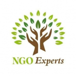 NGO Experts.