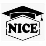 Nice IT Services | Computer Institute in Pitampura