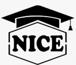 Nice IT Services | Python Classes in Pitampura