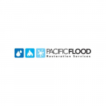 Pacific Flood Restoration, San Marcos