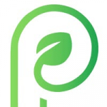 parchment paper