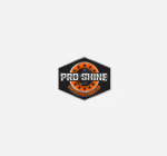 Pro Shine Concrete Restoration