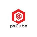 Ps Cube Industries