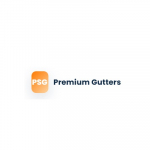 PSG Premium Seamless