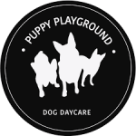 Puppy Play ground