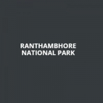 Ranthambhore National Park