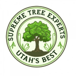 Supreme Tree Experts