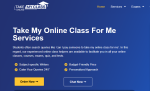 Take My Class Online
