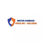 the Water Damage Pros Raleigh nc